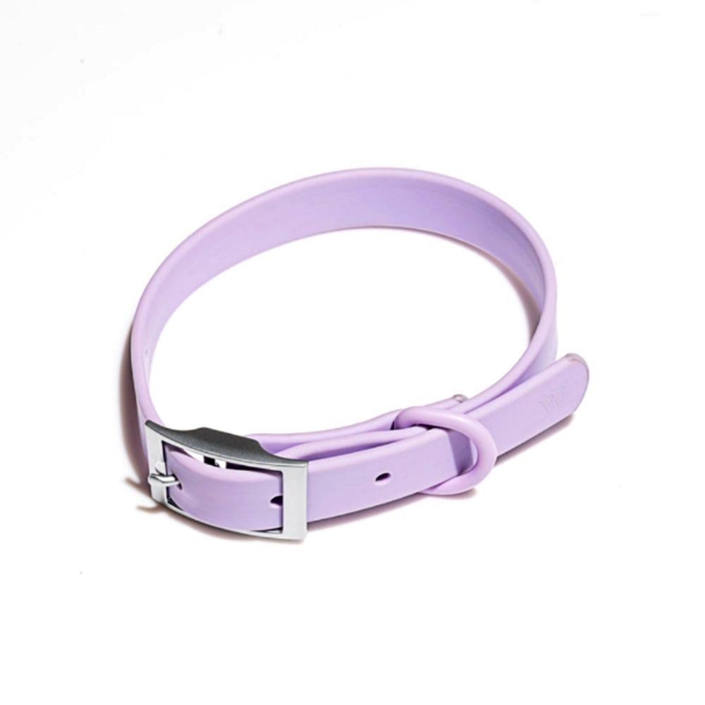 Wild one Collar –3 available sizes